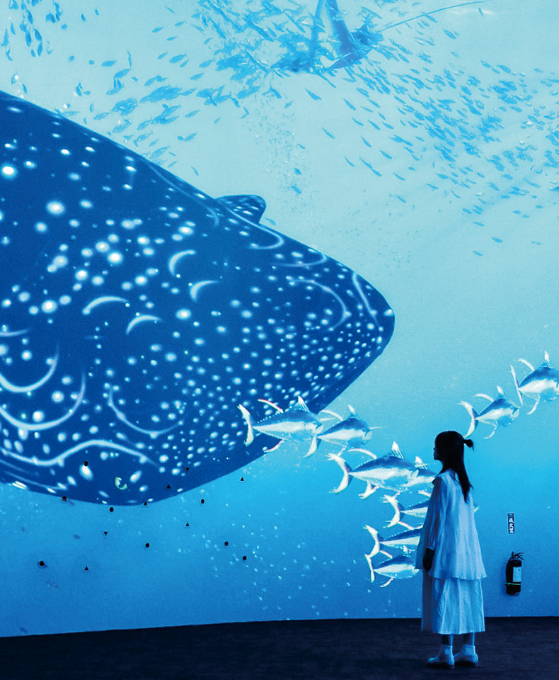 海生館(圖)