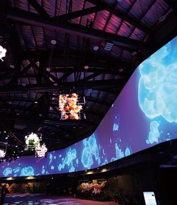 2026台灣蘭花展| 台南(圖)